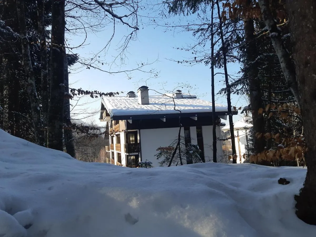 Appartement En Station De Ski A 700 M Des Telecabines Et 100 M Du Centre-Village Les Carroz d'Araches France