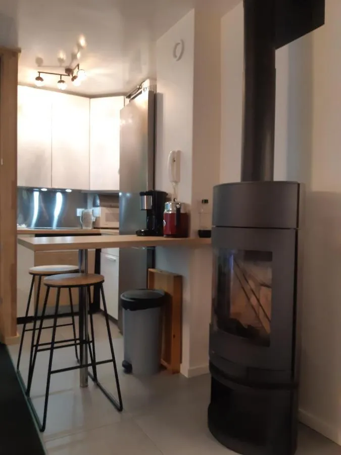 Apartment Appartement En Station De Ski A 700 M Des Telecabines Et 100 M Du Centre-Village Les Carroz d'Araches France